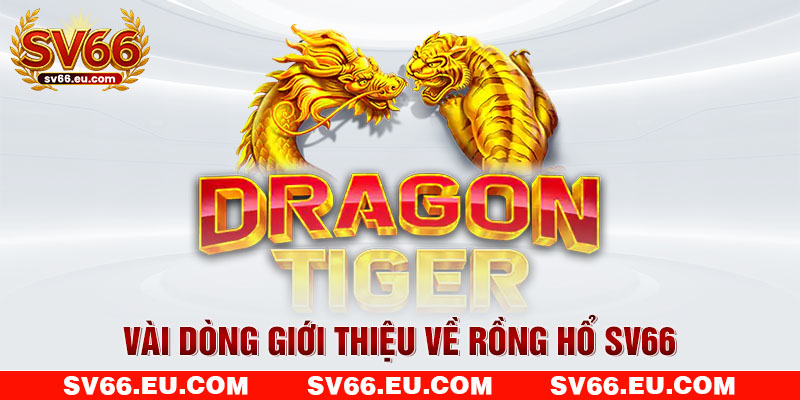 Vài dòng giới thiệu về Rồng Hổ SV66 Vài dòng giới thiệu về Rồng Hổ SV66